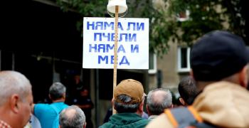 Пчелари излизат на протест пред земеделското министерство