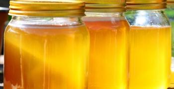 Иззеха над 500 кг мед и пчелни продукти на „Капитан Андреево“