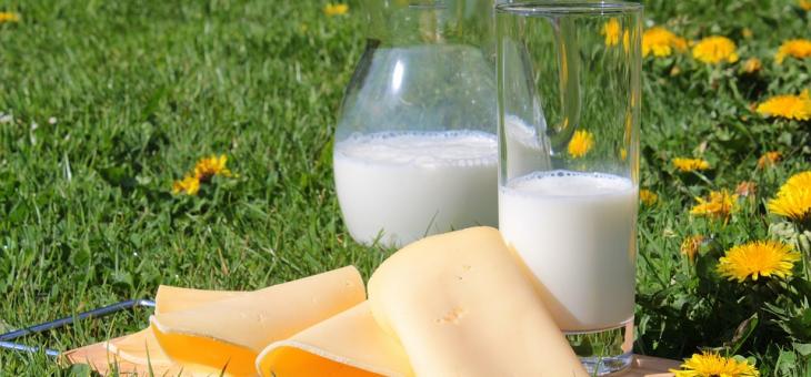 Започват проверки на млечни продукти в магазините