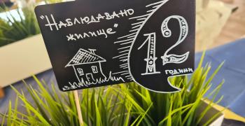12 години "Наблюдавано жилище" в Стара Загора