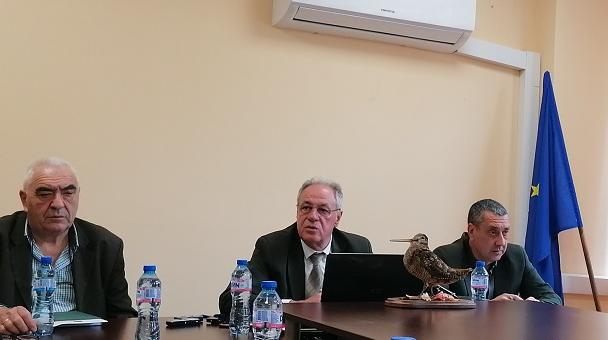 Няма унищожени дървета от борова процесионка в Старозагорско, борбата с вредителя продължава
