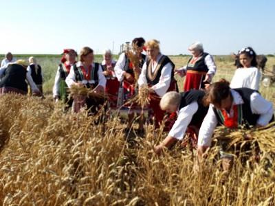 В старозагорското село Пшеничево канят на Празник на пшеницата