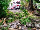 В Стара Загора: Над 40 сигнала за щети от бурята