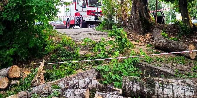 В Стара Загора: Над 40 сигнала за щети от бурята