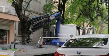 Над 11 хиляди сигнала са получени на „Горещия телефон“ на Община Стара Загора през 2021 година