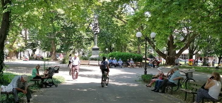 Дезинсекция против гнезда на стършели ще бъде извършена в Стара Загора