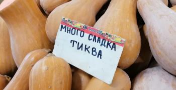 Сезонът на тиквите набира скорост в Стара Загора