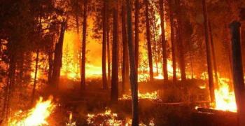 Екстремален индекс за пожароопасност е в сила за територии в 16 области в страната за 12 август