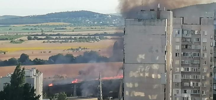 Локализираха пожара в покрайнините на Стара Загора