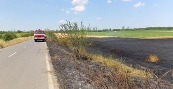 Гасиха пожар между старозагорските села Калояновец и Ловец