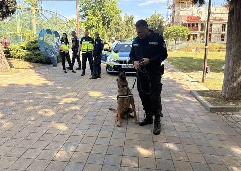 В парк "Артилерийски": Полицейски автомобил, мотоциклет и пожарен автомобил