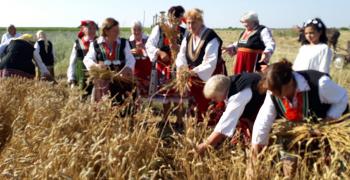 Организират празник на пшеницата в старозагорското село Пшеничево