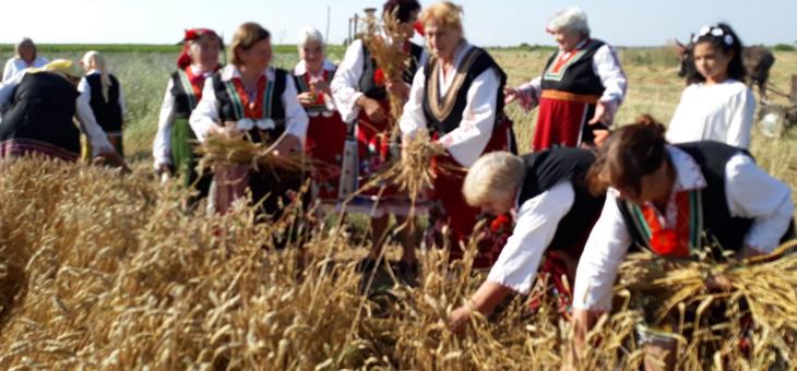 Организират празник на пшеницата в старозагорското село Пшеничево
