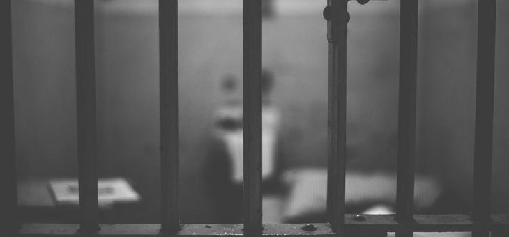 Домови крадец влезе в ареста
