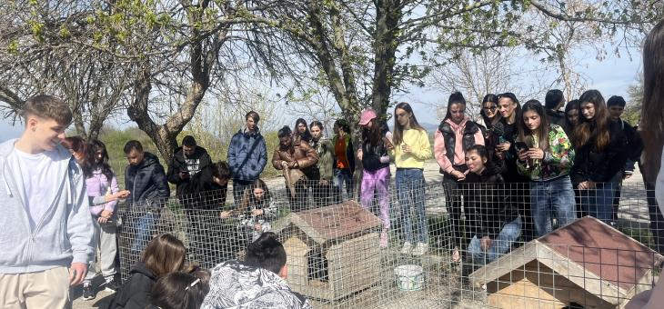 Старозагорски ученици ще са посланици на осиновяването на кучета от общинския приют 
