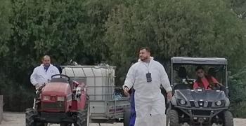 В парк "Митрополит Методий Кусев" пръскат срещу боровата процесионка