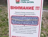 Община Стара Загора продължава мерките срещу боровата процесионка с грижа за природата