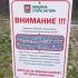 Община Стара Загора продължава мерките срещу боровата процесионка с грижа за природата