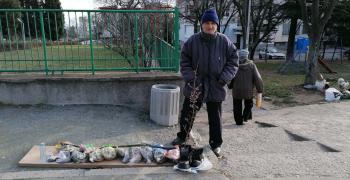 Сурвачка по български