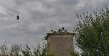 Спасителният център за диви животни в Стара Загора ще обучава млади природолюбители