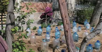 Около 100 рози ще красят блок 54 в кв. "Три чучура-юг"