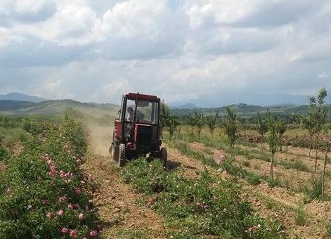 ПП "Републиканци за България" ще проведе среща с розопроизводители и земеделски стопани в Казанлък