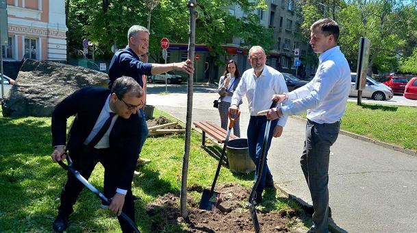 Зам.-кметове засадиха японски вишни в „Зелената алея на бъдещето“ в Стара Загора      