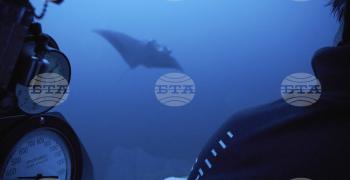 Сейшелските острови въвеждат туристическа такса с природозащитна цел
