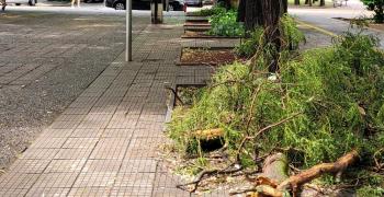 Няма сериозни щети след силната буря в Стара Загора