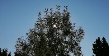 Времето: Слънце и температури до 22 градуса