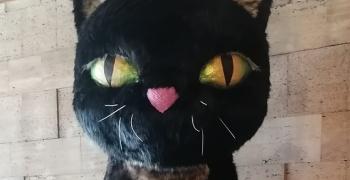 Черна котка с бели помисли посреща гостите на Дома на хумора и сатирата в Габрово
