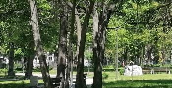 Времето в петък