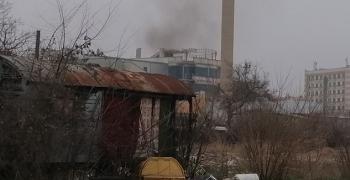 Старозагорка сигнализира за опасно поведение на бездомници
