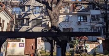 В Стара Загора ще „лекуват“ 100-годишен дъб в двора на къща-музей „Гео Милев“