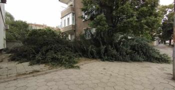 Обявиха частично бедствено положение в Казанлъшко