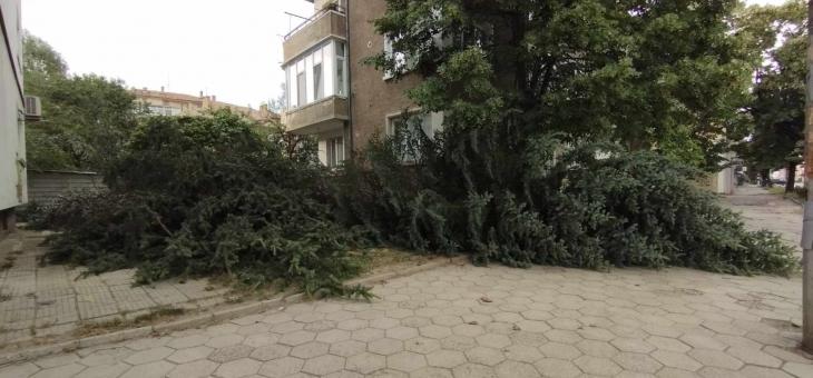 Обявиха частично бедствено положение в Казанлъшко