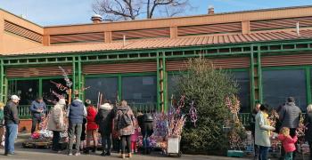 Търговци предлагат красиви сурвакници в Стара Загора
