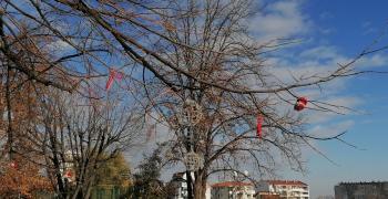 Баба Марта или Дядо Коледа чакаме в Стара Загора?