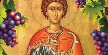 Църквата почита паметта на Св. мъченик Трифон