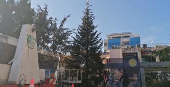 В Стара Загора коледната елха пред Общината ще грейне в петък