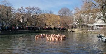 Стара Загора отбелязва Йордановден с Богоявленски водосвет и освещаване на бойните знамена