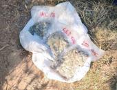 Иззеха над половин килограм марихуана в землището на село Винарово 