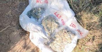 Иззеха над половин килограм марихуана в землището на село Винарово