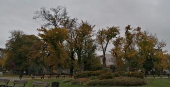 Времето: Слънчево с максимални температури между 11° и 16°