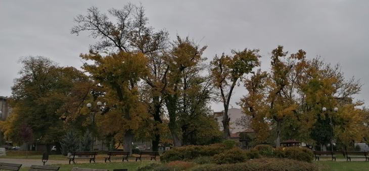 Времето: Слънчево с максимални температури между 11° и 16°