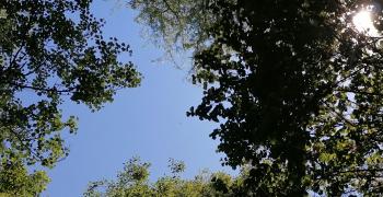 Отново променливо време