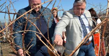 Тракийски университет отбеляза Трифон Зарезан с ритуално зарязване на университетските лозя и молебен за здраве