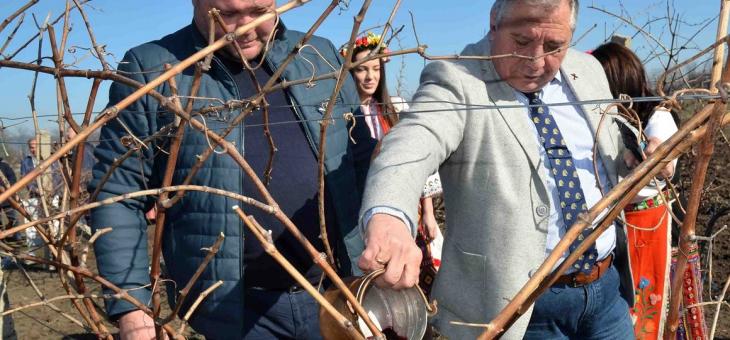 Тракийски университет отбеляза Трифон Зарезан с ритуално зарязване на университетските лозя и молебен за здраве