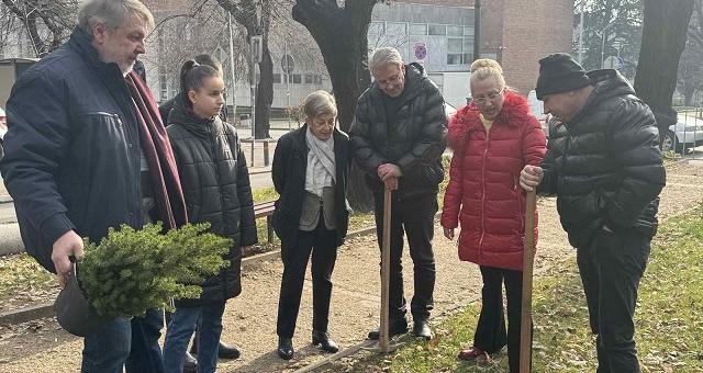 „Чудната елха" изпълни благородната си мисия – символът на добротата бе засаден