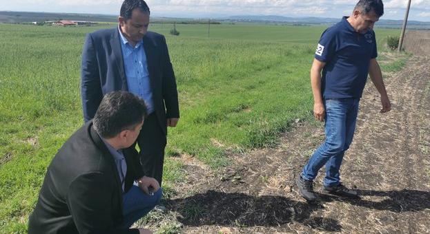 Зам.-министър Иван Капитанов: В максимално кратък срок ще изплатим обезщетенията на стопаните, пострадали от вчерашната градушка в Южна България